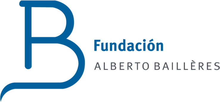 fundacionalbertobailleres