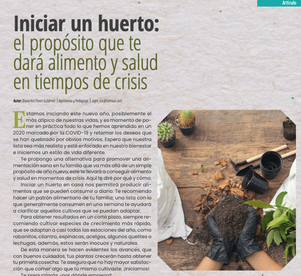 Representante Tlaxcala | Diana Isis