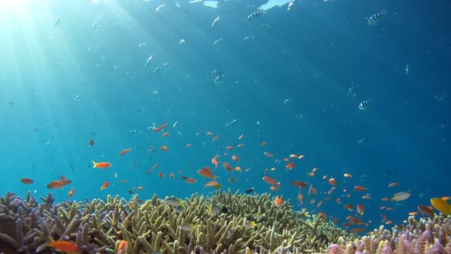 ¡Gota a gota, el mar se agota!