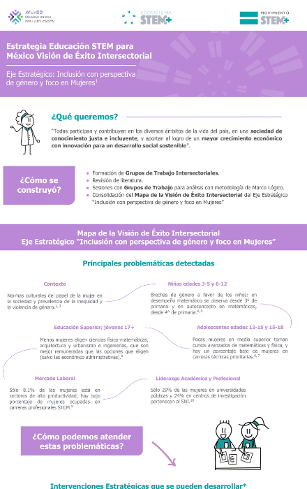 Infografía — Eje Estratégico Inclusión, Perspectiva de Género con foco en Mujeres